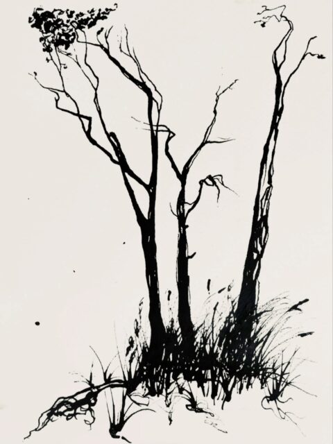Gestern am #Weststrand als der Wind mir in die Tusche blies #ink #drawing #Darß #Ahrenshoop