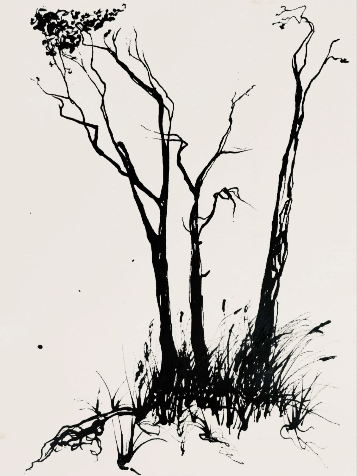 Gestern am #Weststrand als der Wind mir in die Tusche blies #ink #drawing #Darß #Ahrenshoop