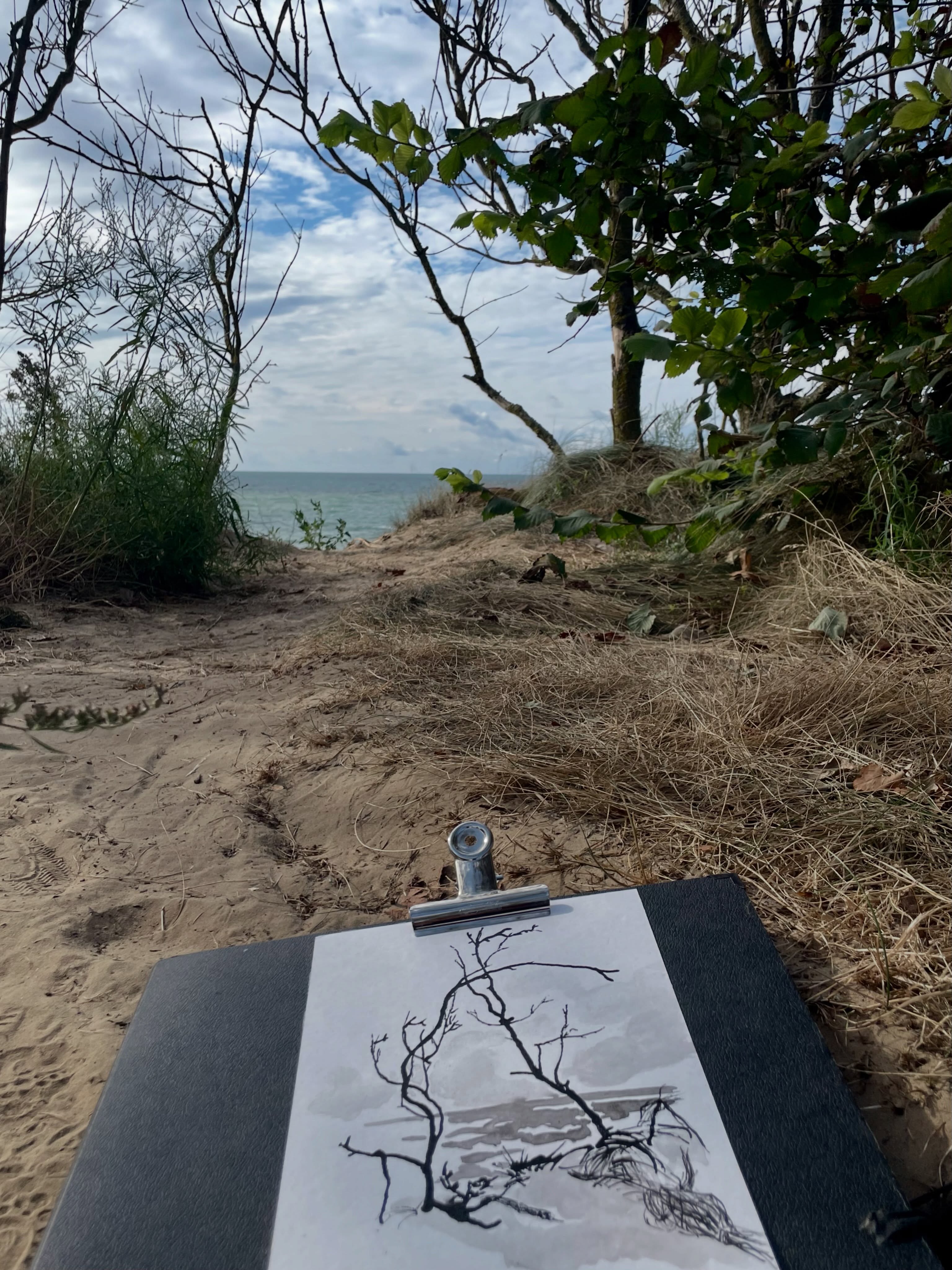 Lieblingssituation zum Zeichnen  #pleinair #darß #ink #drawing