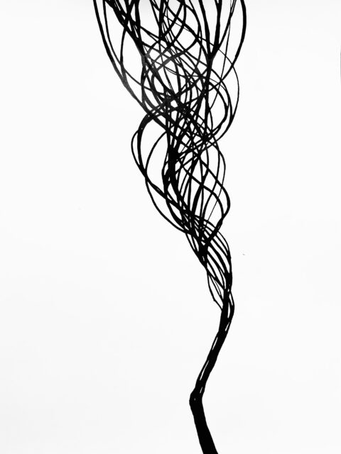 And now to something completely different: My „zen practice“ how I call my ink drawings which I do recently on a quite regular base and therefore develop into a new series of drawings. It‘s about control and letting go, the delicate balance of the two and the joy of movement.
#chineseink #drawing #movement #blackonwhite #anjaehrenberg
