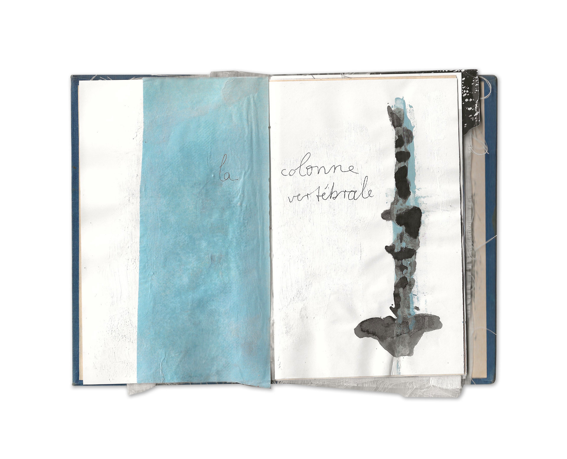 Wirbelsäule, Künstlerbuch, Mixed Media, Zerbrechlichkeit
