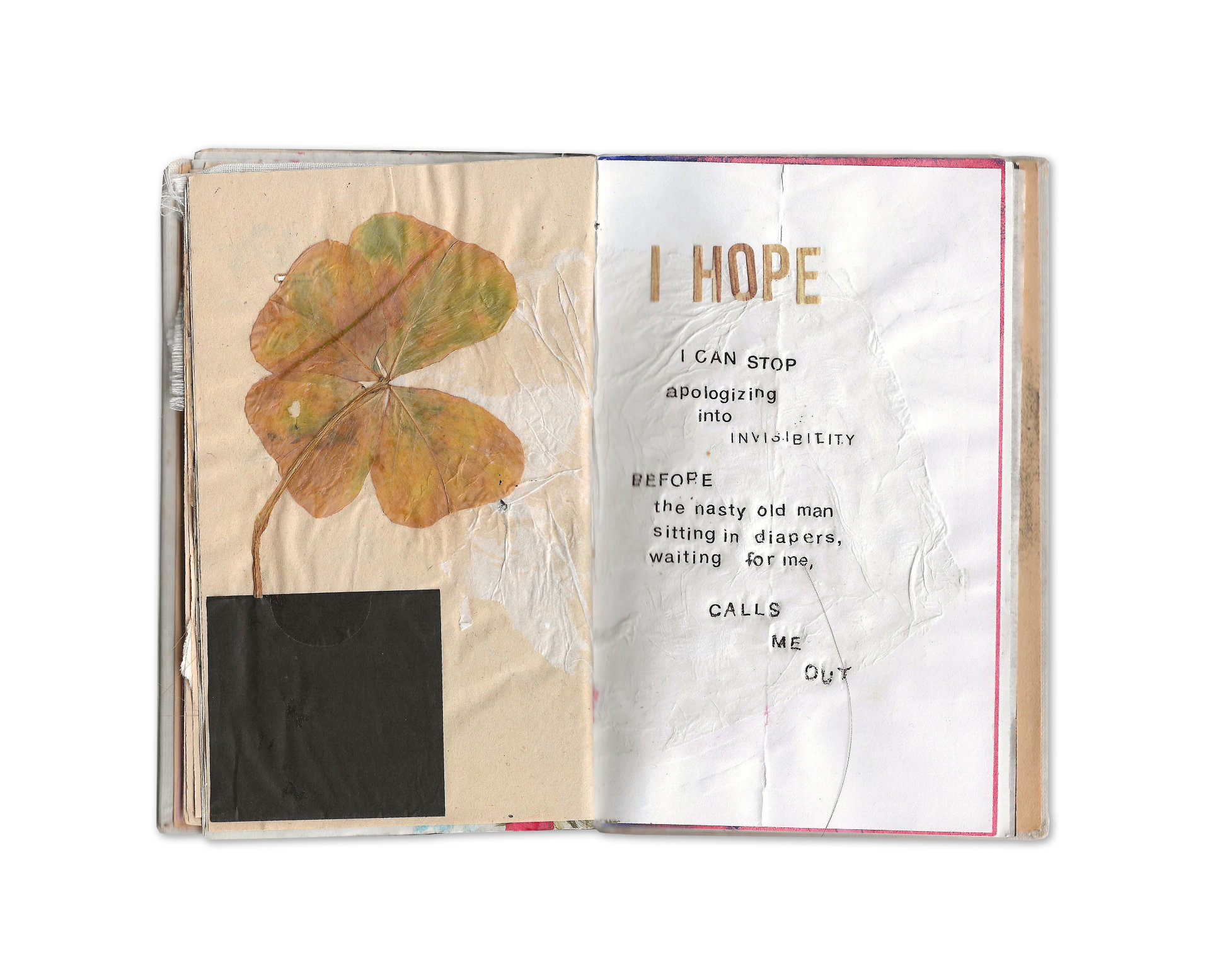 Künstlerbuch, Louise Bourgeois, Mixed Media, Glücksklee, Glück, Hoffnung