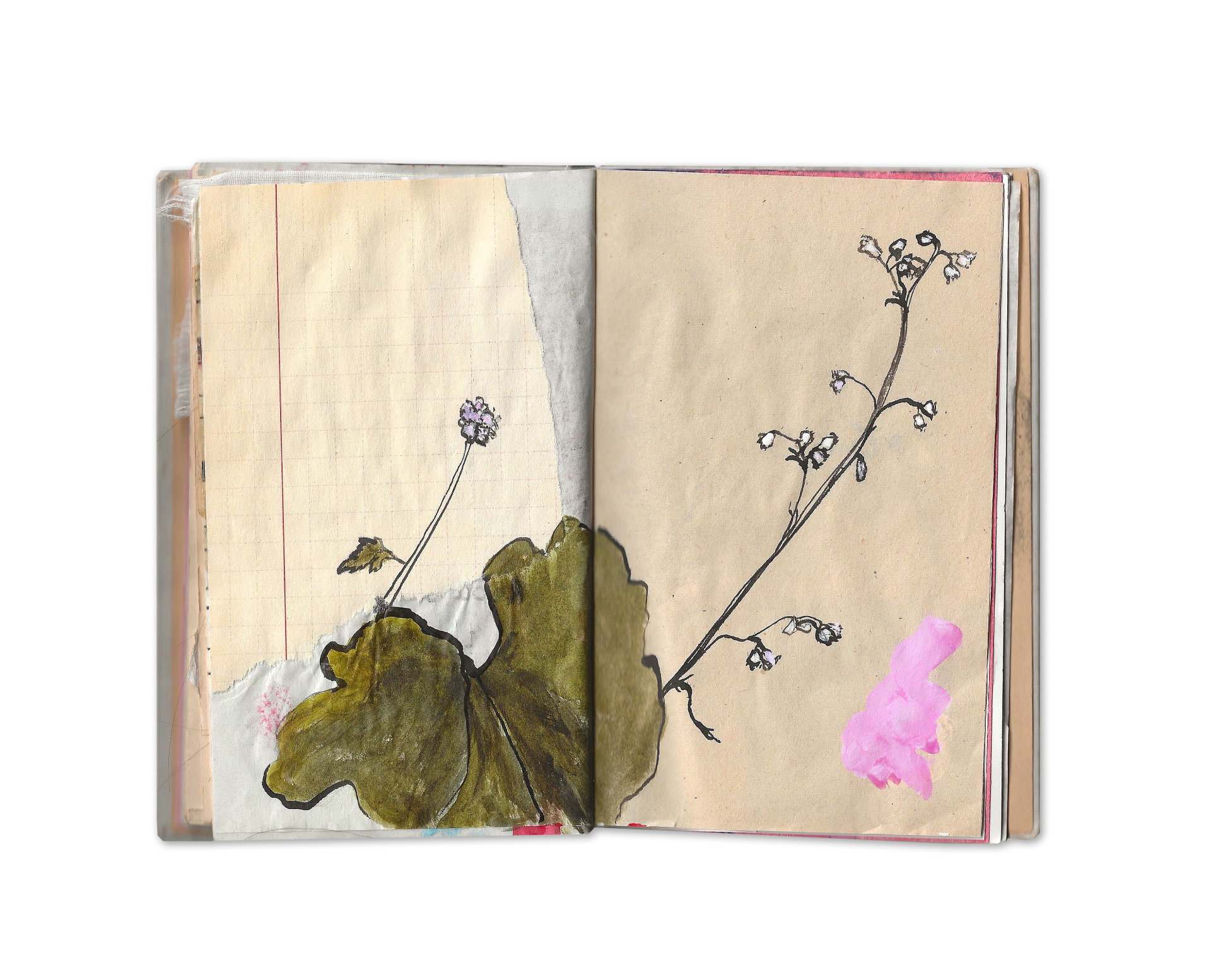 Künstlerbuch, Louise Bourgeois, Pflanze, Zerbrechlichkeit, Mixed Media